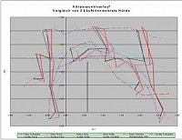 Analyse der Hürdentechnik 2